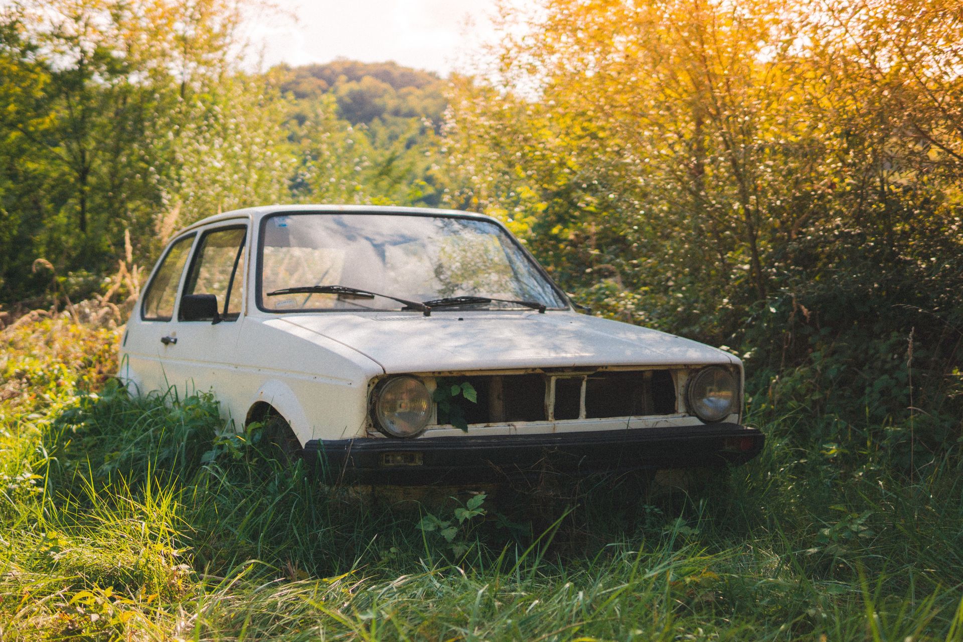Abandoned white vintage car enveloped by lush greenery in a serene outdoor setting.
